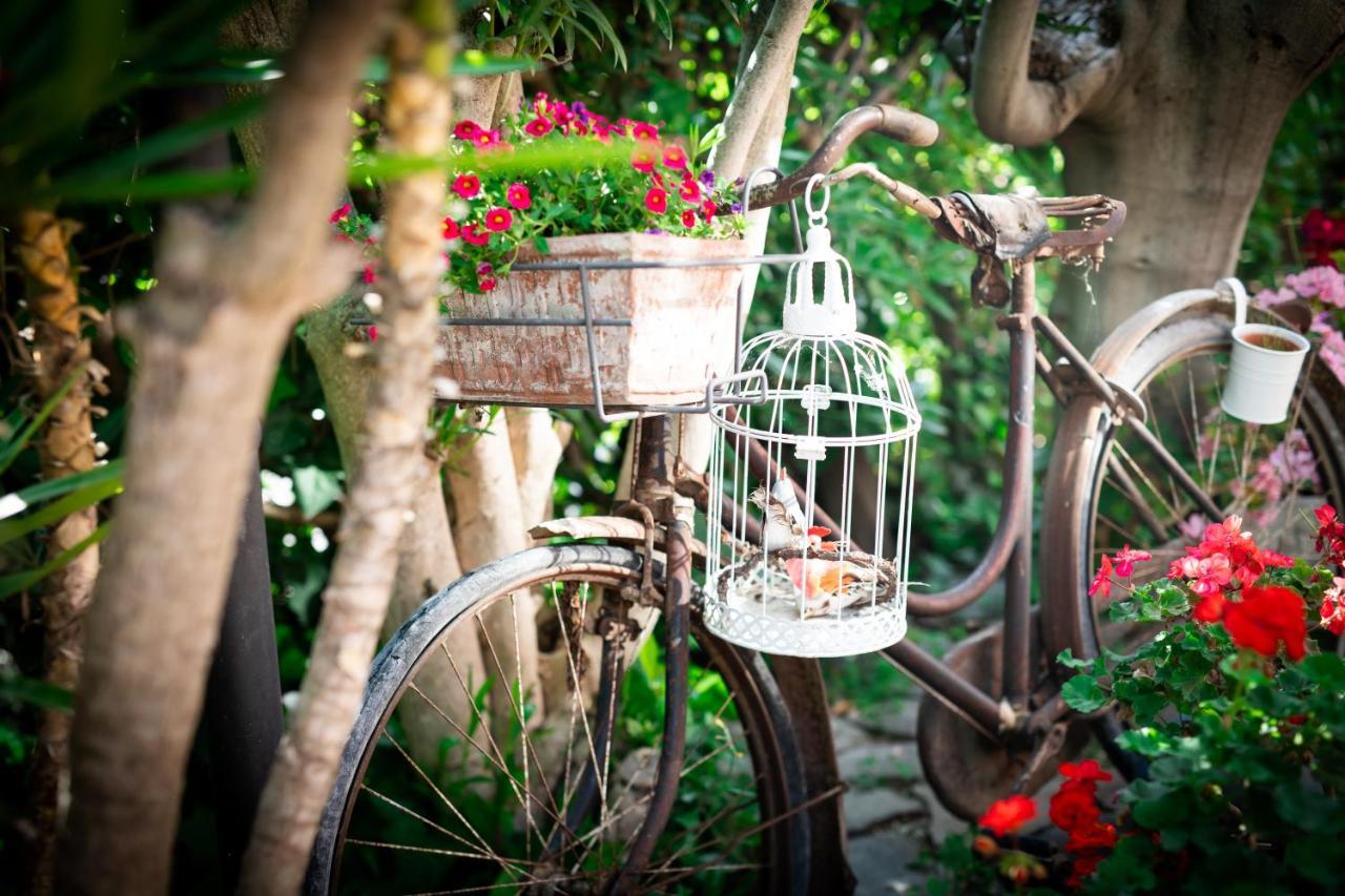B&B Due Sorelle ซีโรโล ภายนอก รูปภาพ